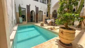 a swimming pool with a potted tree in a building at Riad Dar Massai in Marrakesh