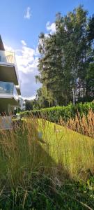 Příroda nedaleko apartmánu + 32 fotografií