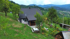 a house on the side of a hill at Tarska kuća za odmor in Bajina Bašta