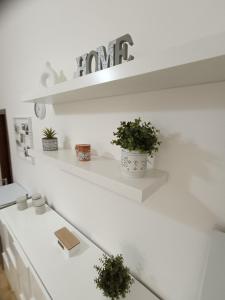 a white kitchen with white shelves and potted plants at A casa di Irene in Le Marmore