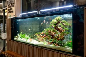 Gallery image of T's Garden hotel in Ðình Loan