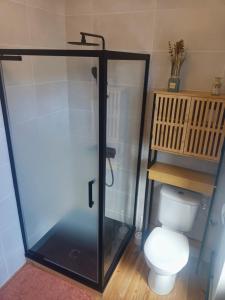 a bathroom with a toilet and a glass shower stall at La petite Maison in Vézézoux