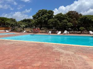 a swimming pool with blue water and chairs and trees at La Casa degli Enzi in Portoscuso