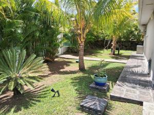a yard with a bench and palm trees and a house at Belle Villa 3 chambres piscine Rivière Salée in Rivière-Salée