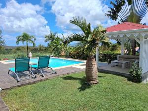 a palm tree and two chairs next to a swimming pool at Belle Villa 3 chambres piscine Rivière Salée in Rivière-Salée