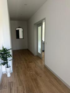 an empty room with a potted plant on a wooden floor at MiraReal Guest House in Macieira da Lixa