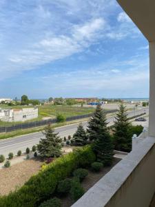 Naturlandskabet i nærheden af hotellet