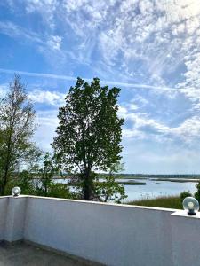 Naturlandskabet i nærheden af hotellet