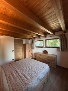 a bedroom with a large bed and two windows at LA CASETTA - Appartamento TANTANE' in Torgnon
