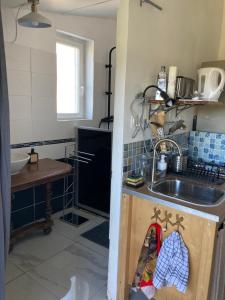 a kitchen with a sink and a counter top at Le rêve chrysalide in Masseret