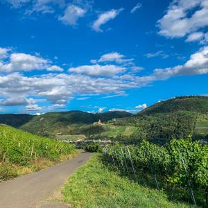 a road through a vineyard with a blue sky and clouds at Ferienwohnung Rebennah - modern - Freisitz - Küche - ideal für Monteure in Platten