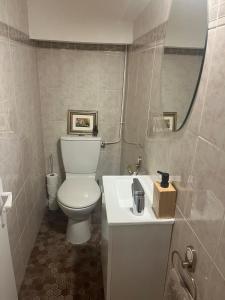 a bathroom with a toilet and a sink and a mirror at Between city and countryside in Maisons-Laffitte +15 photos