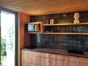 a kitchen with a counter with a microwave and a window at Abri du fûret in Lustin