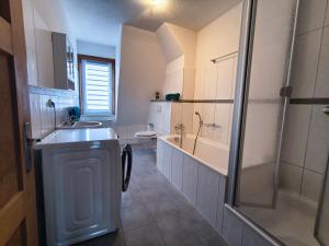a bathroom with a sink and a toilet and a shower at Ferienwohnung zur Silbertanne in Ilsenburg +27 photos