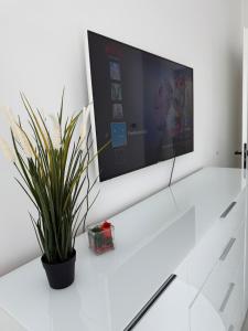 TV en una pared blanca con una maceta en Stilvolle Wohnung Feel Good, en Gummersbach