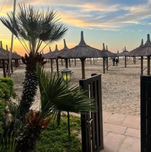 plaża z wieloma słomianymi parasolami i palmami w obiekcie Casa vacanze a due passi dal mare w mieście Pescara