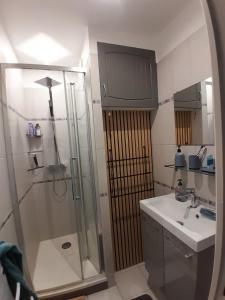 キュクにあるAppartement Stella plageのシャワーと洗面台付きのバスルーム