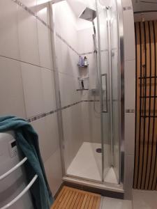 キュクにあるAppartement Stella plageの浴室のガラス扉付きシャワー