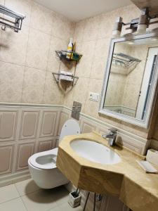 ein Badezimmer mit Toilette, Waschbecken und Spiegel in der Unterkunft Erik Guest House in Bordschomi