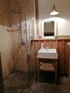 un baño con ducha y lavabo en Peter 7 "Paul", en Görlitz
