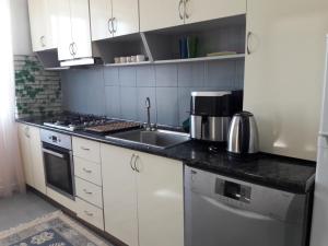 a kitchen with a sink and a stove top oven at PharphalInn in Batumi +23 photos