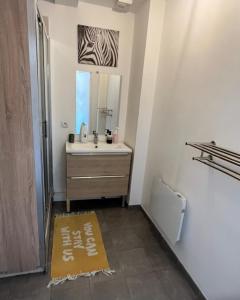 a bathroom with a sink and a mirror at Un Havre de Calme - proche Ferme de la Doudou in Cheptainville
