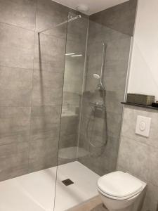 a bathroom with a shower with a toilet at Maison de ville in Thouars +19 photos