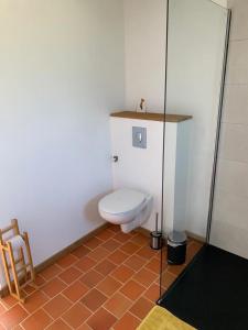 a bathroom with a toilet in a shower stall at Le 13 bis in Champtoceaux +8 photos