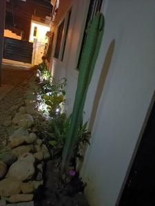 Gallery image of Apartamentos ipap luperon in Puerto de Luperon