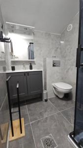 a bathroom with a toilet and a sink at Apartmani Kuzman in Ždrelac