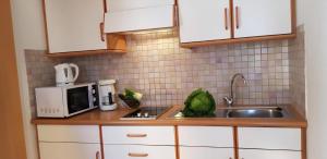a kitchen counter with a sink and a microwave at Wohnung Mölten in Meltina