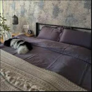 Una cama o camas en una habitación de parkuj, spi