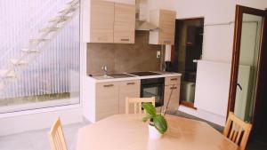 a kitchen with a table with a plant on it at Tumaini House in Antwerp