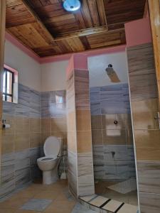 a bathroom with a toilet and a shower at Balozi Homes Nyeri in Nyeri +47 photos