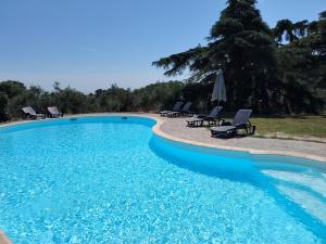 a large swimming pool with chairs and umbrellas at Agriturismo Corte Sakura in Montefiascone