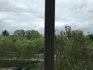 a window with a view of a field and trees at Le Skyline - 3 Chambres Indépendantes, lits doubles in Nantes +1 photo