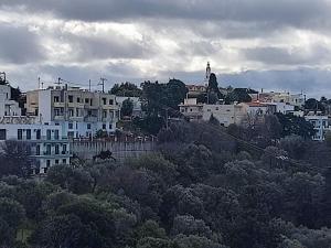 a group of buildings on a hill with trees at Anemomilos View in Koskinou