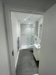 un bagno con un water e un lavandino di Spacious Flat for Professional a Slough 1 altra foto