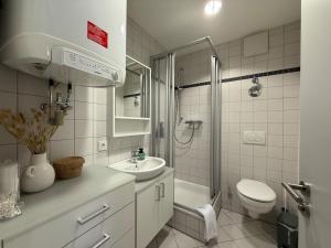 a bathroom with a toilet and a sink and a shower at Altstadt-Romanze in Coburg
