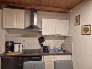 O bucătărie sau chicinetă la Saxonia HomeDeLuxe Appartement Dresden Neue Hochwertige voll ausgestattete Ferienwohnung mit Küche XXL Boxspringerbett 2 Einzelbetten Highspeed InternetFlatrate und Balkon Ideal für Familien Paare Kulturinteressierte und Geschäftsreisende mit MWStRechnung