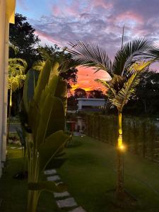 a palm tree in a yard with a sunset in the background at COP 30 BELEM - Casa de Luxo - 4 suítes in Marituba
