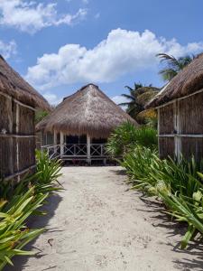 a resort with thatched huts on the beach at Hotel xahuayxol in Mahahual