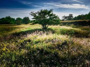 Φωτογραφία από το άλμπουμ του 7 person holiday home in Hals-By Traum σε Hals