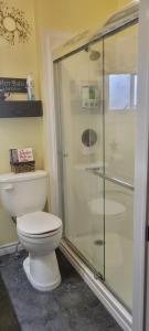 a bathroom with a toilet and a glass shower at Mama`s By The Sea B&B in Clark's Harbour +35 photos