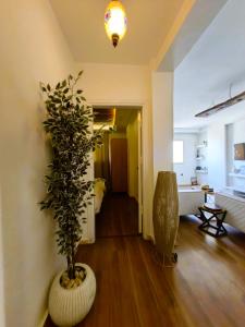 a living room with a plant in a bowl on the floor at GEM Pyramids & Grand Museum View in Cairo +68 photos