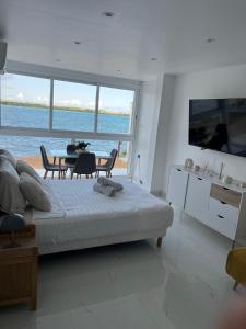 TV a/nebo společenská místnost v ubytování Les studio Ciels et Terre