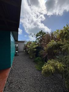 a garden with plants on the side of a building at Bora Bora Wonderful Lodge in Bora Bora