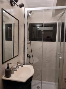 un baño con lavabo y ducha en ARWEN Suites 2, en Trevelín