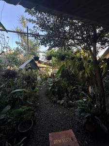 Photo de la galerie de l'établissement Caminho das cataratas, à Foz do Iguaçu