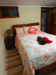 San CarlosにあるLarita's MINDO Hospedaje y Casita de campo Los Guayabalesの赤い毛布が掛けられた大きなベッドのある寝室